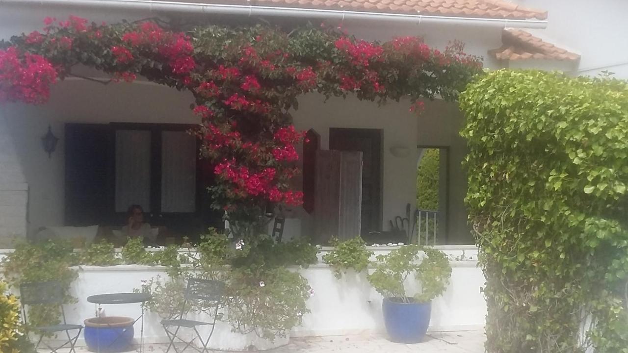 quinta Colina flora Bed and Breakfast Sintra Exterior foto